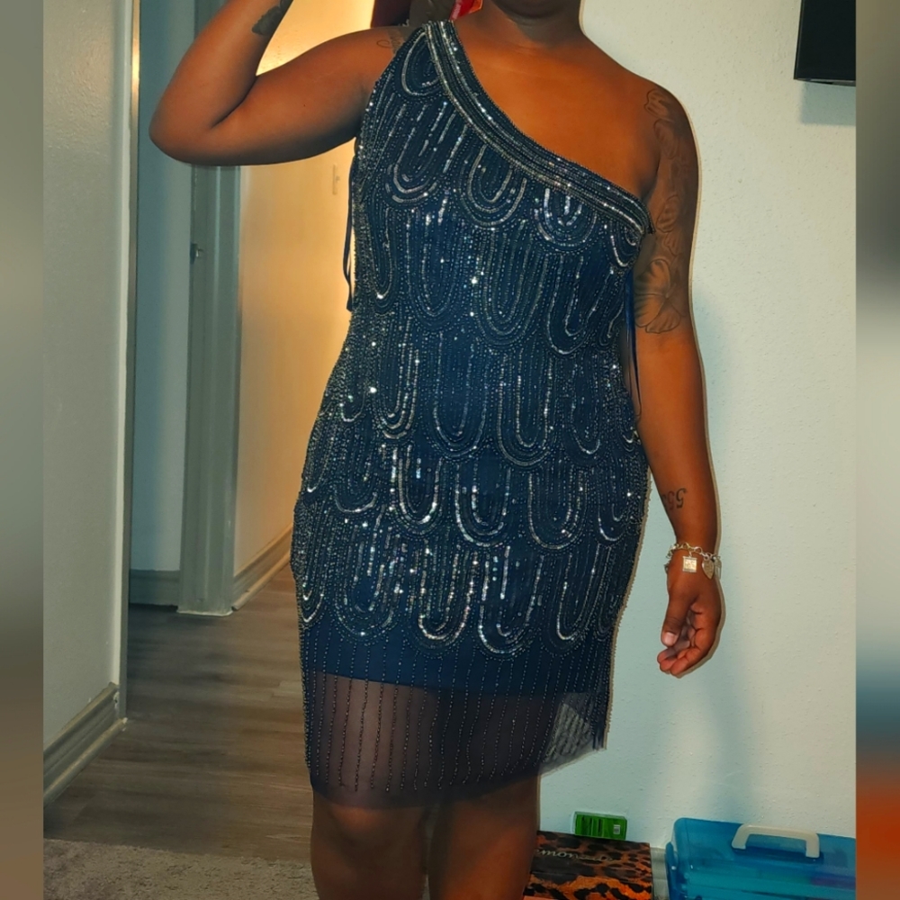 Pisarre Nights Sequin Dress 16